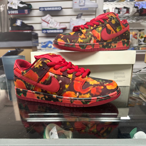 Nike Dunk Low SB “Wizard of Oz”