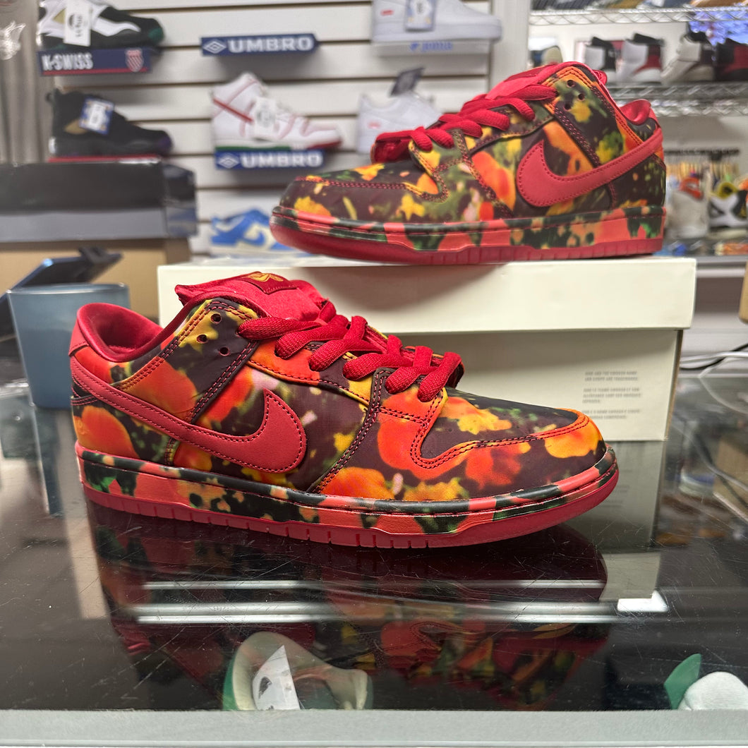 Nike Dunk Low SB “Wizard of Oz”